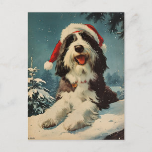 Postal Navidades de Collie con barba