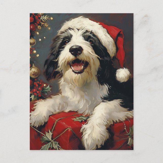 Postal Navidades de Collie con barba (Anverso)