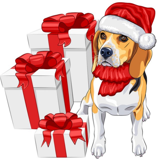 Postal Navidades de Cute Beagle (Festive Dog with Santa Claus Hat and Gift Boxes Post Card!)