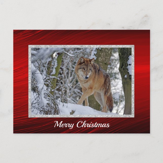 Postal Navidades de foto de Wildlife Wolf Snow (Anverso)