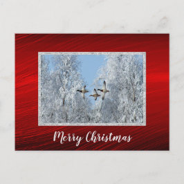 Postal Navidades de fotografía de la nieve volando en pat
