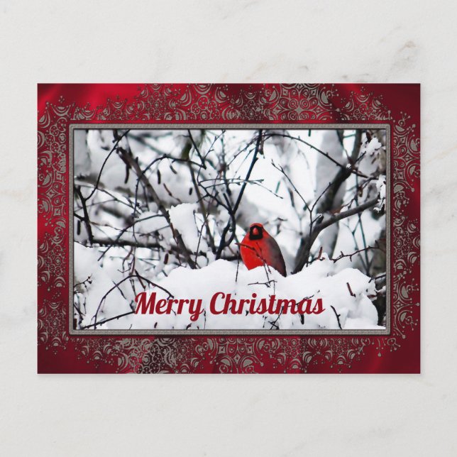 Postal Navidades de fotografía del cardenal Redbird Snow (Anverso)