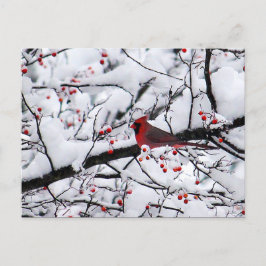 Postal Navidades de fotografía del cardenal rojo árbol de