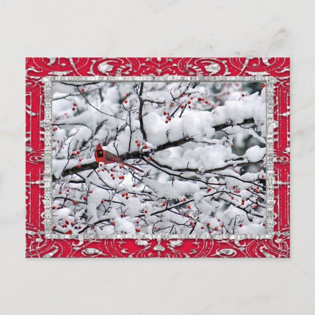 Postal Navidades de fotografía del cardenal Snow Tree (Anverso)