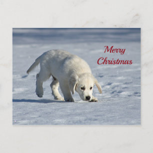 Postal Navidades de fotos de porras blancas con nieve