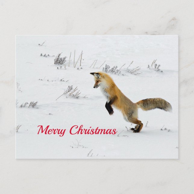 Postal Navidades de Fox Leaping Snow (Anverso)