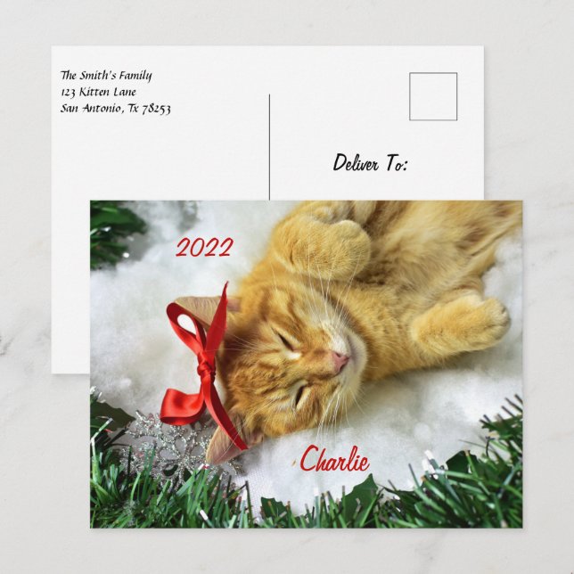 Postal Navidades de gatos de Tabby Naranja personalizado (Anverso / Reverso)