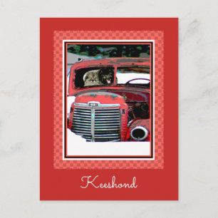 Postal Navidades de Keeshond Viejo Camión Pintando Arte D