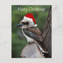 Postal Navidades de Kookaburra Bird Red Santa Hat