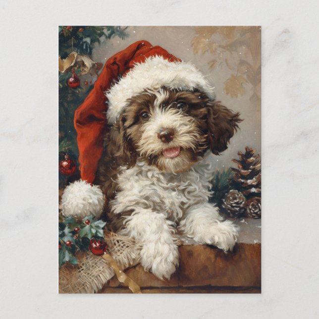 Postal Navidades de Lagotto Romagnolo (Anverso)