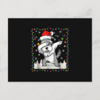 navidades de luz dabbing schnauzer santa
