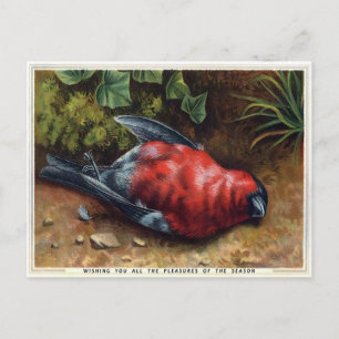 Postal Navidades de pájaros muertos de Victoria