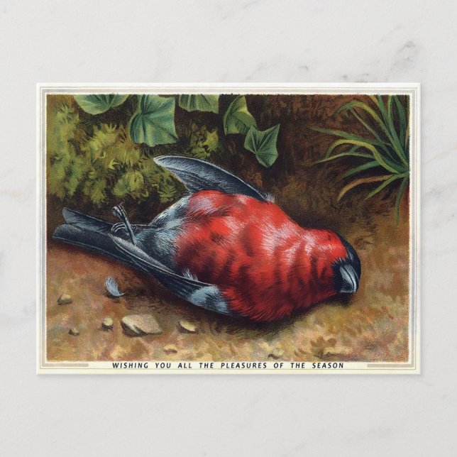 Postal Navidades de pájaros muertos de Victoria (Anverso)