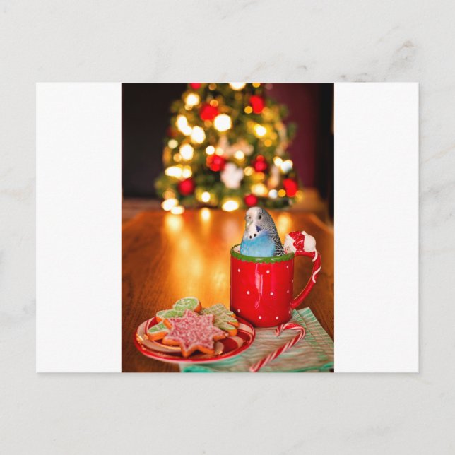 Postal Navidades de Parakeet (Anverso)