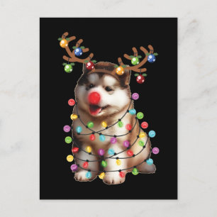 Postal Navidades de perro malamute de Alaska