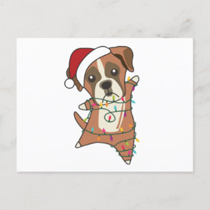 Postal Navidades de perros boxeadores niegan a perros de 