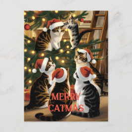 Postal Navidades de personalizable se burlan de los gatos