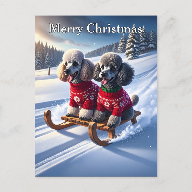 Postal Navidades de Poodles Sled Ride (Anverso)
