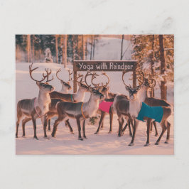 Postal Navidades de renos de yoga