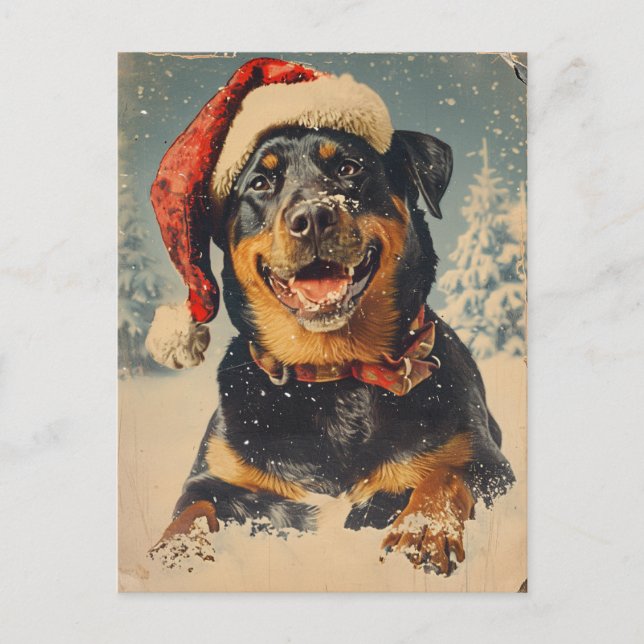 Postal Navidades de Rottweiler (Anverso)