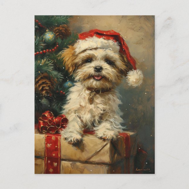 Postal Navidades de Shih Tzu (Anverso)