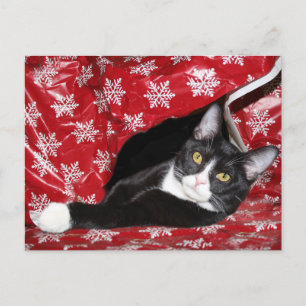 Postal Navidades de Tíxedo