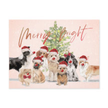 Navidades de vacaciones amantes del perro Merry Sa