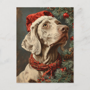 Postal Navidades de Weimaraner