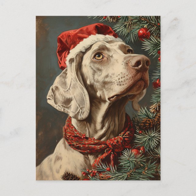 Postal Navidades de Weimaraner (Anverso)