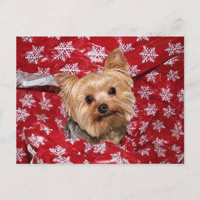 Postal Navidades de Yorkie (Anverso)