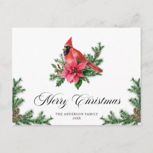 Postal Navidades del Cardenal Rojo de Poinsettia saludan