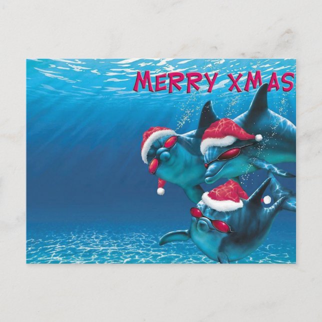 Postal Navidades divertidos de Dolphin Santa Hat (Anverso)