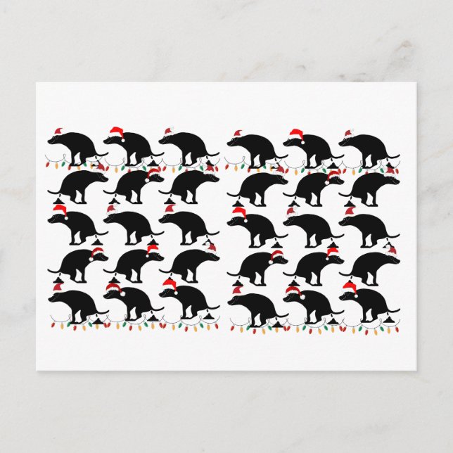 Postal Navidades divertidos que se burlan del perro (Anverso)