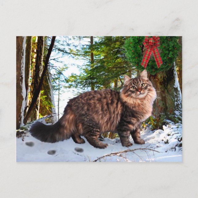 Postal "Navidades En El Bosque" (Anverso)