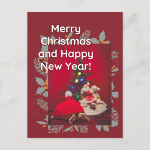 Postal Navidades festivos bebé Sulcata Tortoise en gorra 