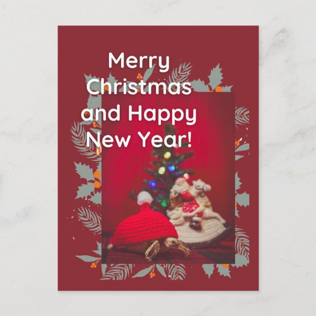 Postal Navidades festivos bebé Sulcata Tortoise en gorra  (Anverso)