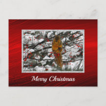 Navidades fotográficos Squirrel Berry Tree