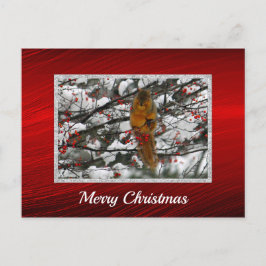 Postal Navidades fotográficos Squirrel Berry Tree