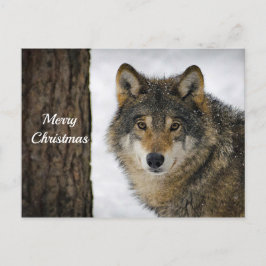 Postal Navidades fotográficos Wolf Snow Tree