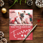 Postal Navidades furtivos rojos con patas blancas y fotos<br><div class="desc">¡Esta tarjeta de saludo de los Navidades es perfecta para cada amante de los perros! Incluye la foto de un lindo cachorro francés de bulldog con gorro de Navidad y decoraciones de vacaciones. El texto blanco sobre un fondo festivo rojo dice "que tus días sean Furry y Brillante"</div>