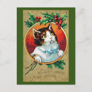 Postal Navidades, Gato de Navidad