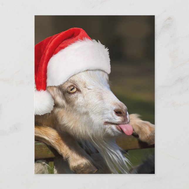 Postal Navidades Goat (Anverso)