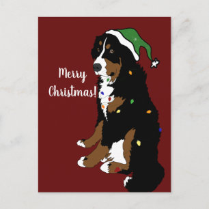 Postal Navidades Holiday Bernese Mountain Dog