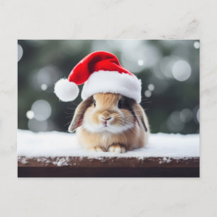 Postal Navidades Holiday Bunny