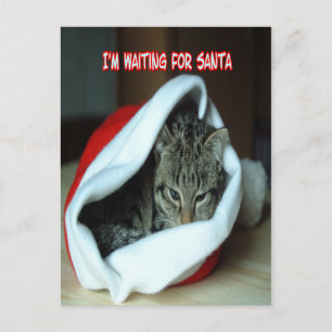 Postal Navidades Holiday kitten