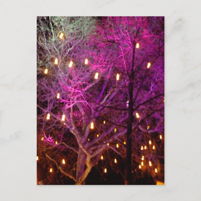 Postal Navidades iluminan el mercado en Colonia (Anverso)