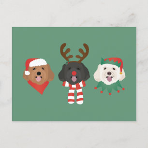 Postal Navidades Maltipoo Dogs