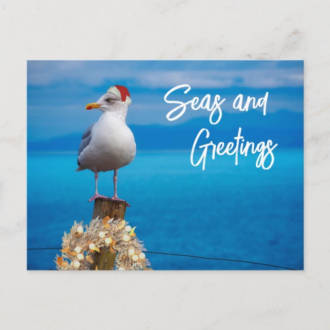 Postal Navidades Mar de Playa y Saludos Océano de Gaviota (Anverso)
