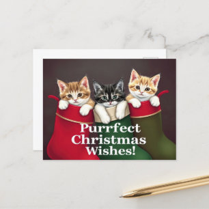 Postal Navidades perfectos Deseos Gatos