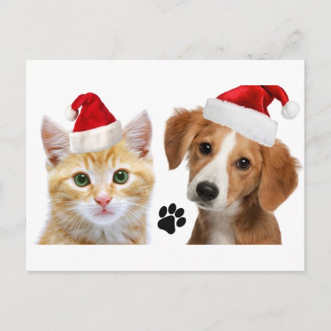 Postal Navidades Perro gato Mascotas lindo Navidad Navida (Anverso)